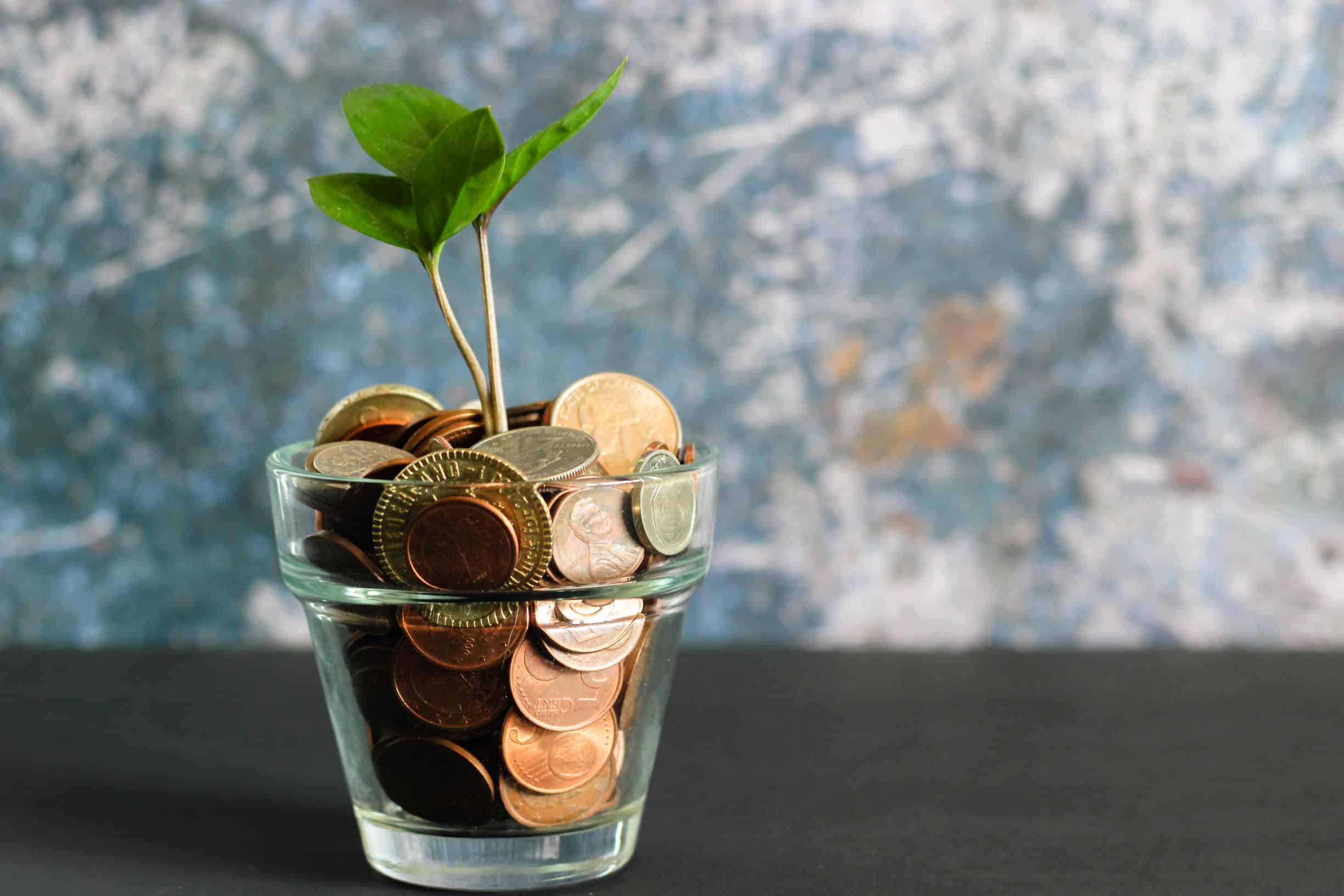 Regional and Small Publishers Innovation Fund
