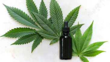 B2B media platform for Australia's legal cannabis industry launches