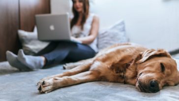 working from home tax deductions