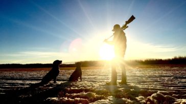guide to firearms and shooting sports