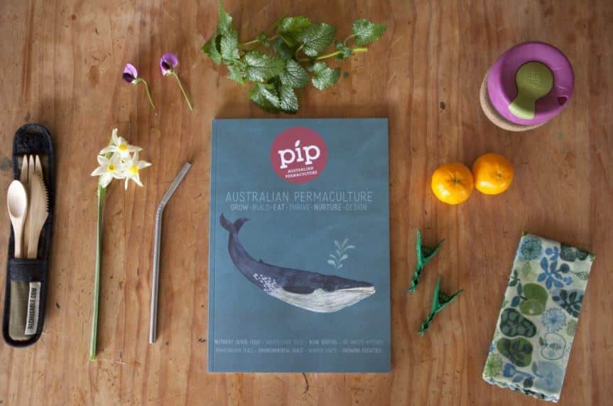 Pip magazine